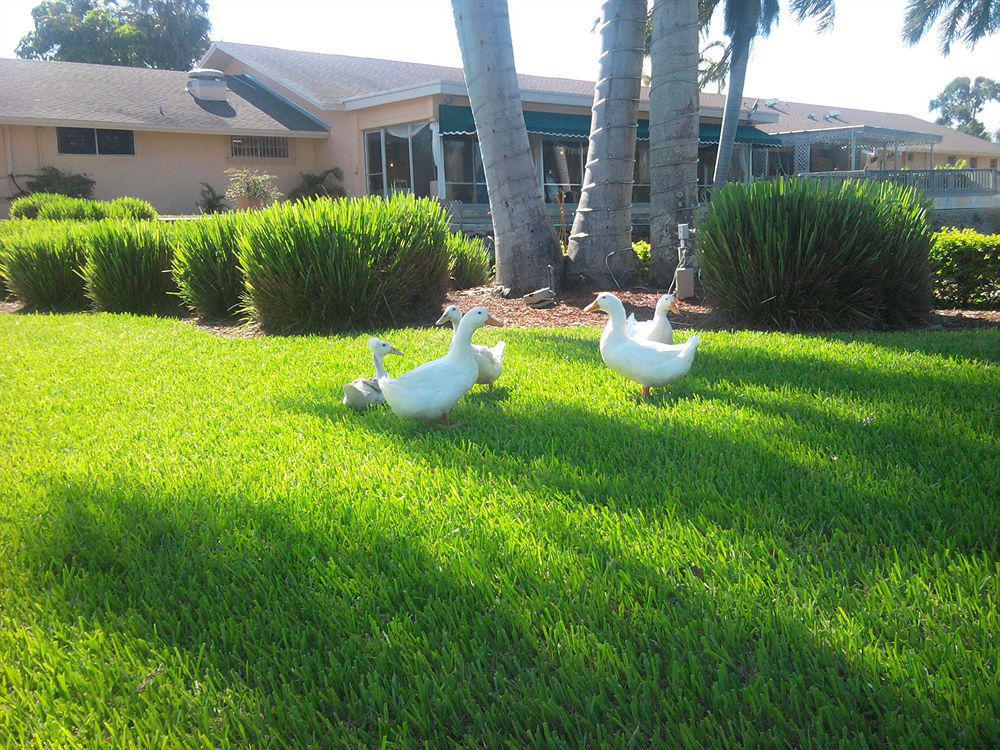 Hollywood Beach Golf Resort Exterior foto